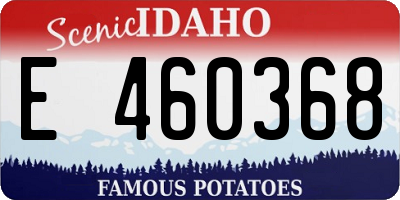ID license plate E460368