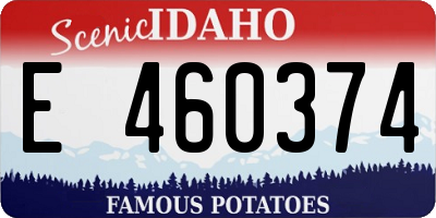 ID license plate E460374