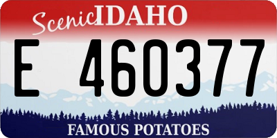 ID license plate E460377