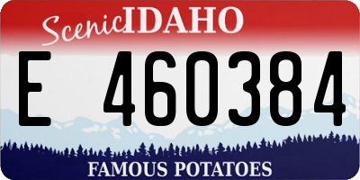 ID license plate E460384