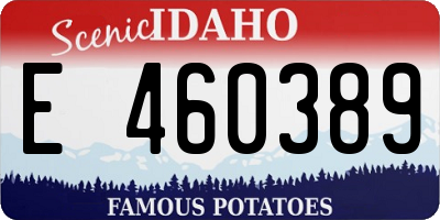 ID license plate E460389