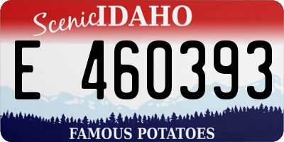 ID license plate E460393