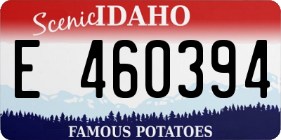 ID license plate E460394