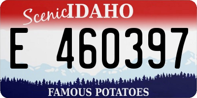 ID license plate E460397