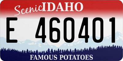 ID license plate E460401