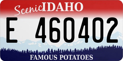 ID license plate E460402