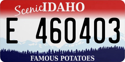 ID license plate E460403