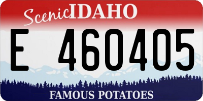 ID license plate E460405
