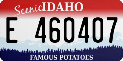 ID license plate E460407