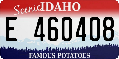 ID license plate E460408