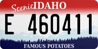 ID license plate E460411