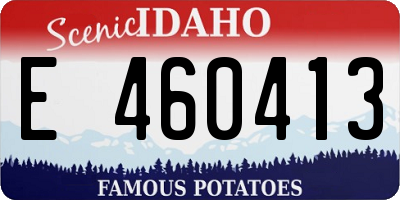 ID license plate E460413