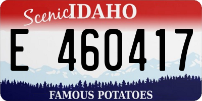 ID license plate E460417