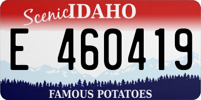ID license plate E460419