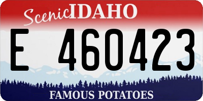 ID license plate E460423