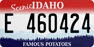 ID license plate E460424
