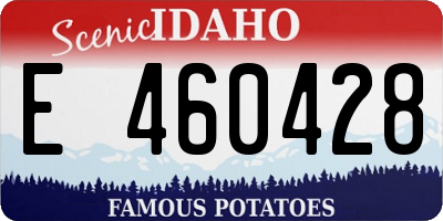 ID license plate E460428