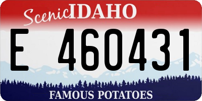 ID license plate E460431