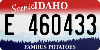 ID license plate E460433