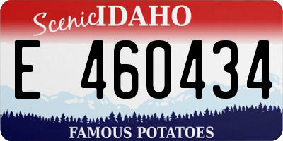 ID license plate E460434