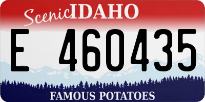 ID license plate E460435