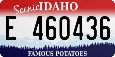 ID license plate E460436