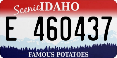 ID license plate E460437