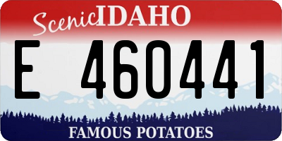 ID license plate E460441