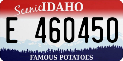 ID license plate E460450