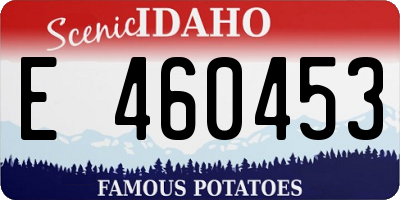 ID license plate E460453