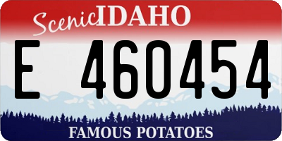 ID license plate E460454