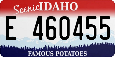 ID license plate E460455