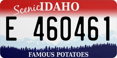 ID license plate E460461