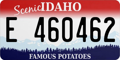 ID license plate E460462