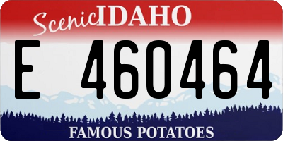 ID license plate E460464