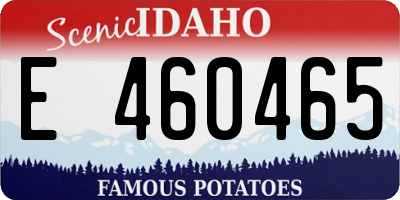 ID license plate E460465