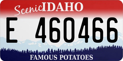 ID license plate E460466