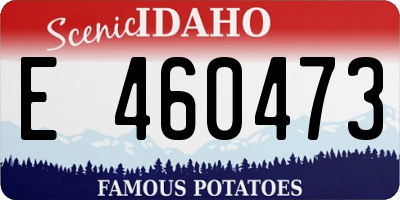 ID license plate E460473