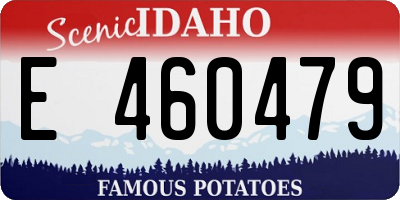 ID license plate E460479