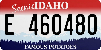 ID license plate E460480