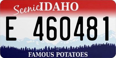 ID license plate E460481