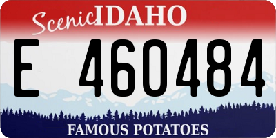 ID license plate E460484