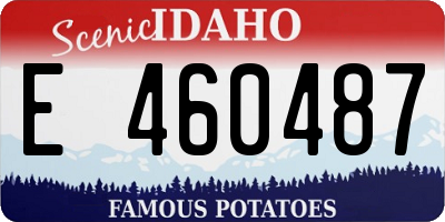 ID license plate E460487