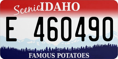 ID license plate E460490