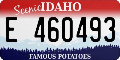 ID license plate E460493