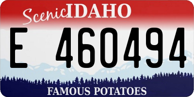 ID license plate E460494
