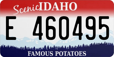 ID license plate E460495