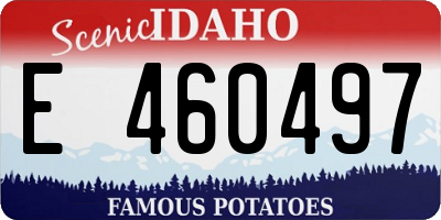 ID license plate E460497