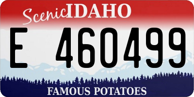 ID license plate E460499