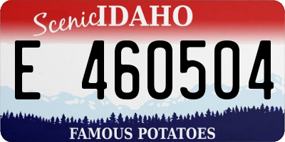 ID license plate E460504